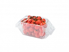 Mini rajčice HFFS