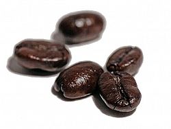 Kava Kava